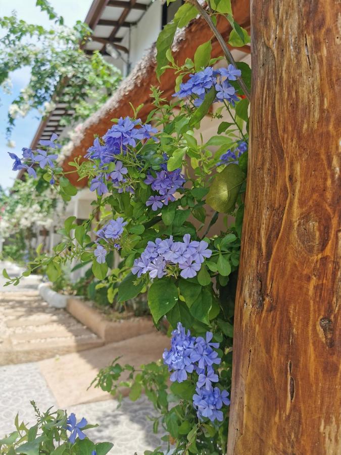 פנגלאו Alisa Garden Boutique Hotel מראה חיצוני תמונה