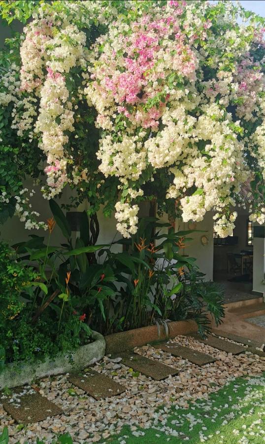 פנגלאו Alisa Garden Boutique Hotel מראה חיצוני תמונה