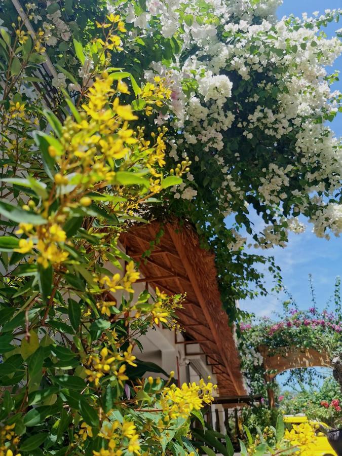 פנגלאו Alisa Garden Boutique Hotel מראה חיצוני תמונה