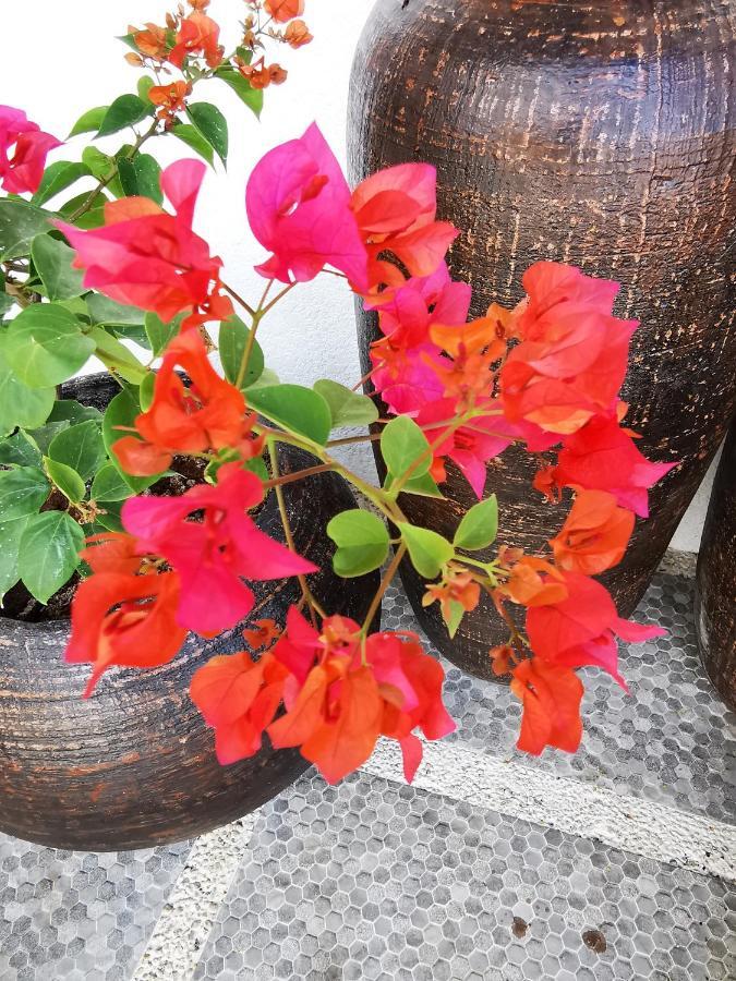 פנגלאו Alisa Garden Boutique Hotel מראה חיצוני תמונה