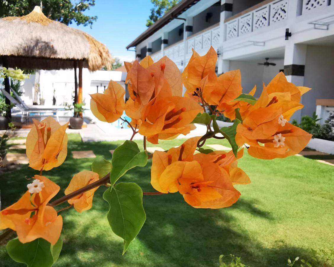 פנגלאו Alisa Garden Boutique Hotel מראה חיצוני תמונה
